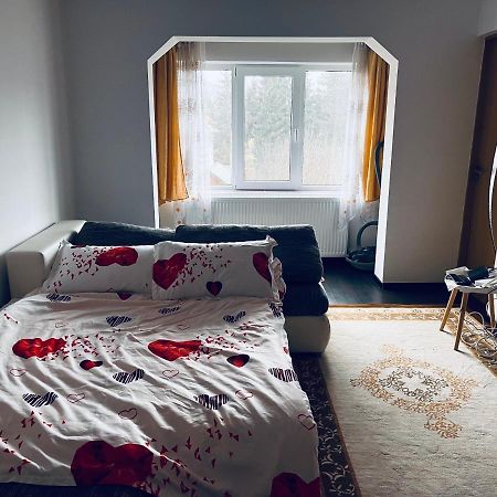 Câmpulung Moldovenesc Lovely 1 Bedroom Apartment المظهر الخارجي الصورة